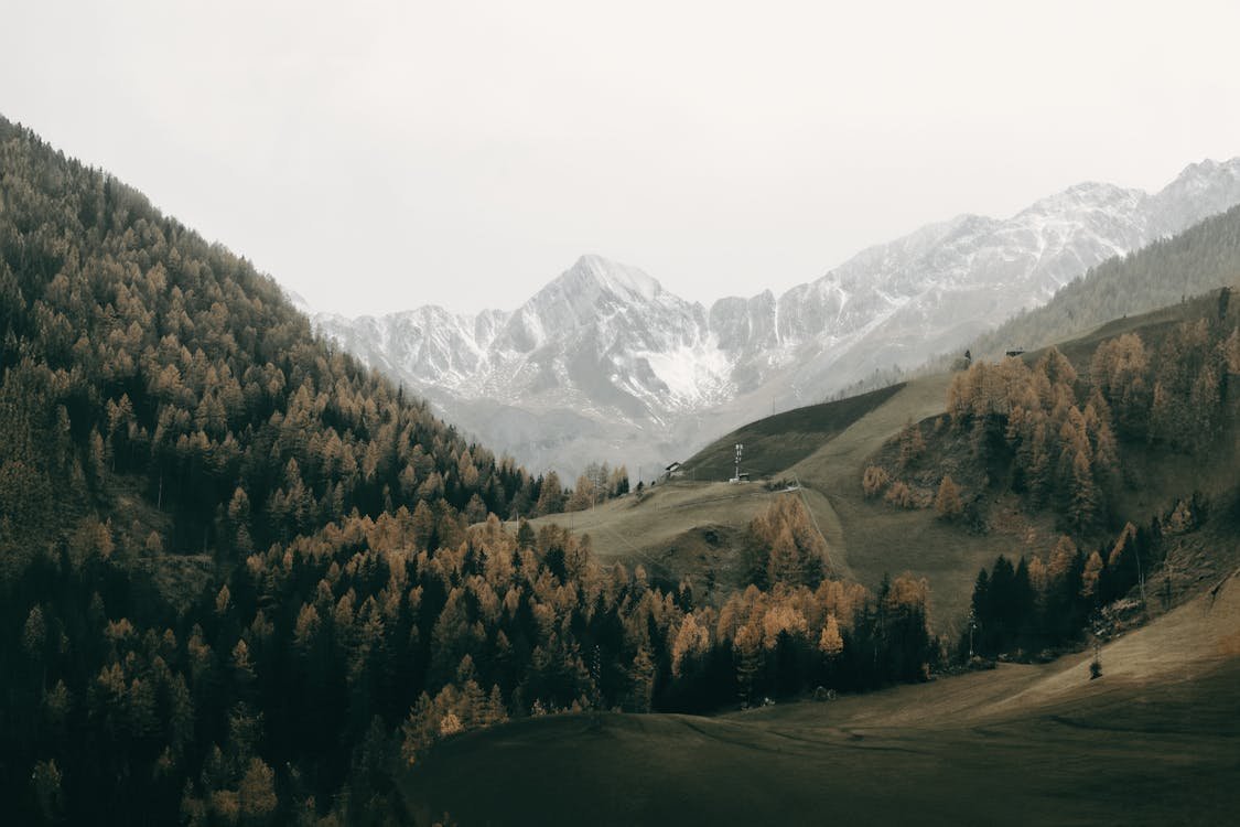 Stk Design Library Image 2 1